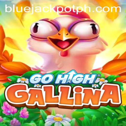 GoHighGallina: An Adventure in the World of Cards